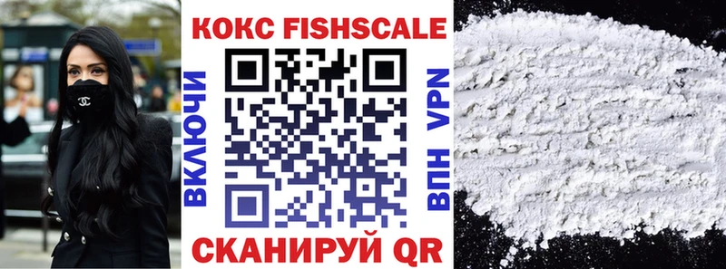 Купить  Кулебаки  COCAIN Эквадор 