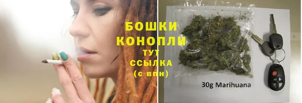 марки lsd Бородино
