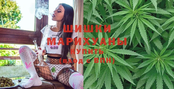 марки lsd Бородино