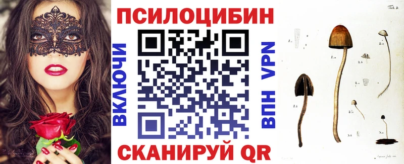 Галлюциногенные грибы Psilocybine cubensis  Купить закладки  Кулебаки 